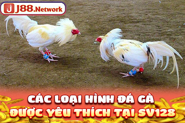 Các loại hình đá gà được yêu thích tại SV128