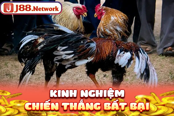 Kinh nghiệm chiến thắng bất bại
